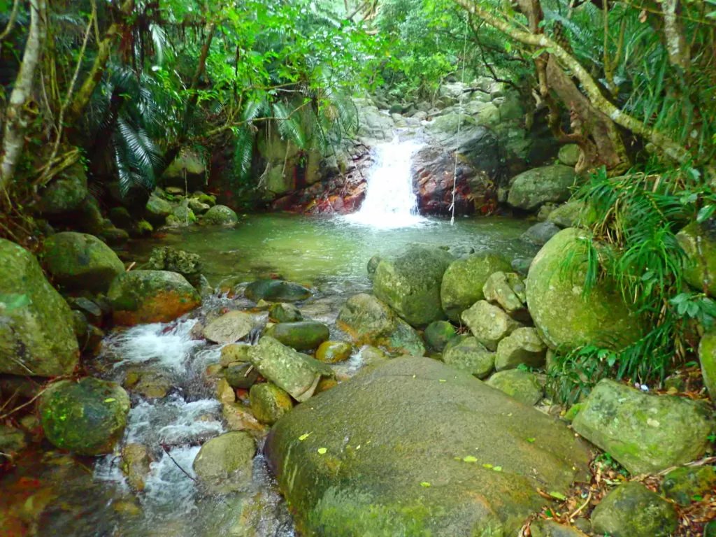 🏞️ 아라카와 폭포 이미지 1